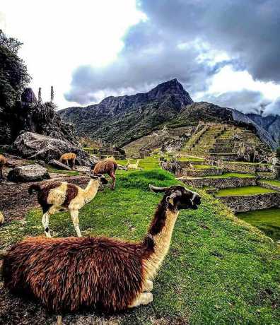 Salkantay Trek 4 días