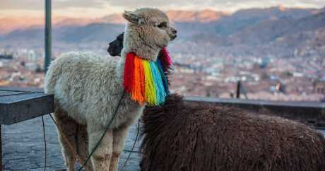 Cusco