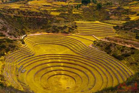 Moray