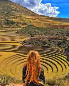 Moray