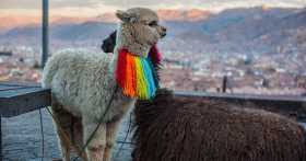 Cusco